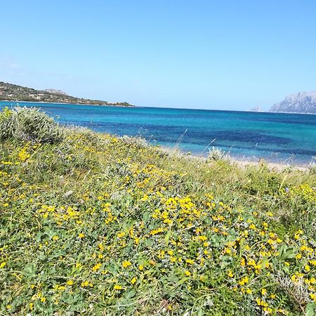 Hotel Stanza al Lungomare Olbia Esterno foto