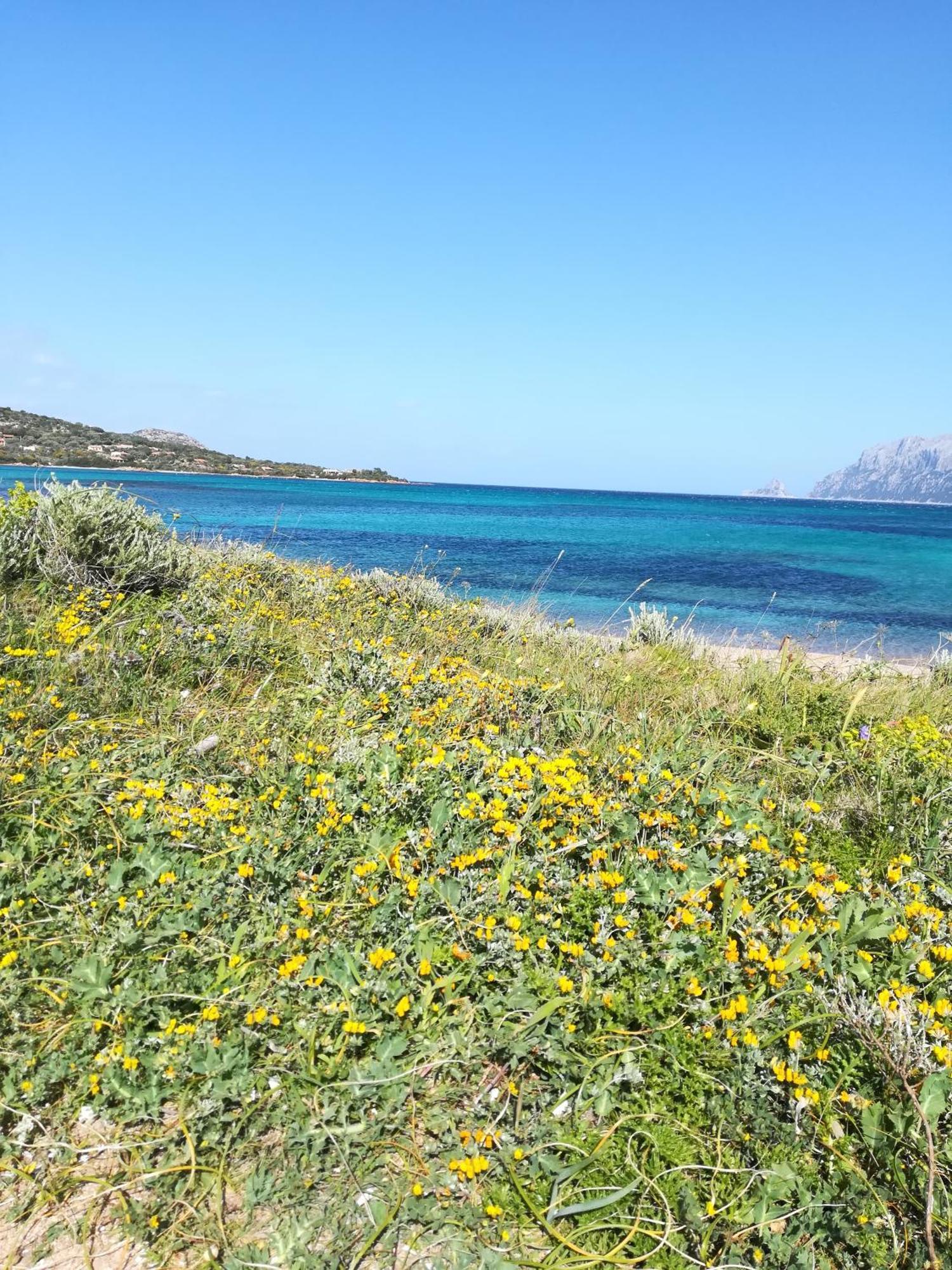 Hotel Stanza al Lungomare Olbia Esterno foto